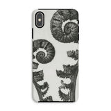 Aspidium Filix Mas (shield Fern Fronds) - Karl Blossfeldt Phone Case Iphone Xs Max / Matte Fern-patterned Phone Case Karl Blossfeldt,