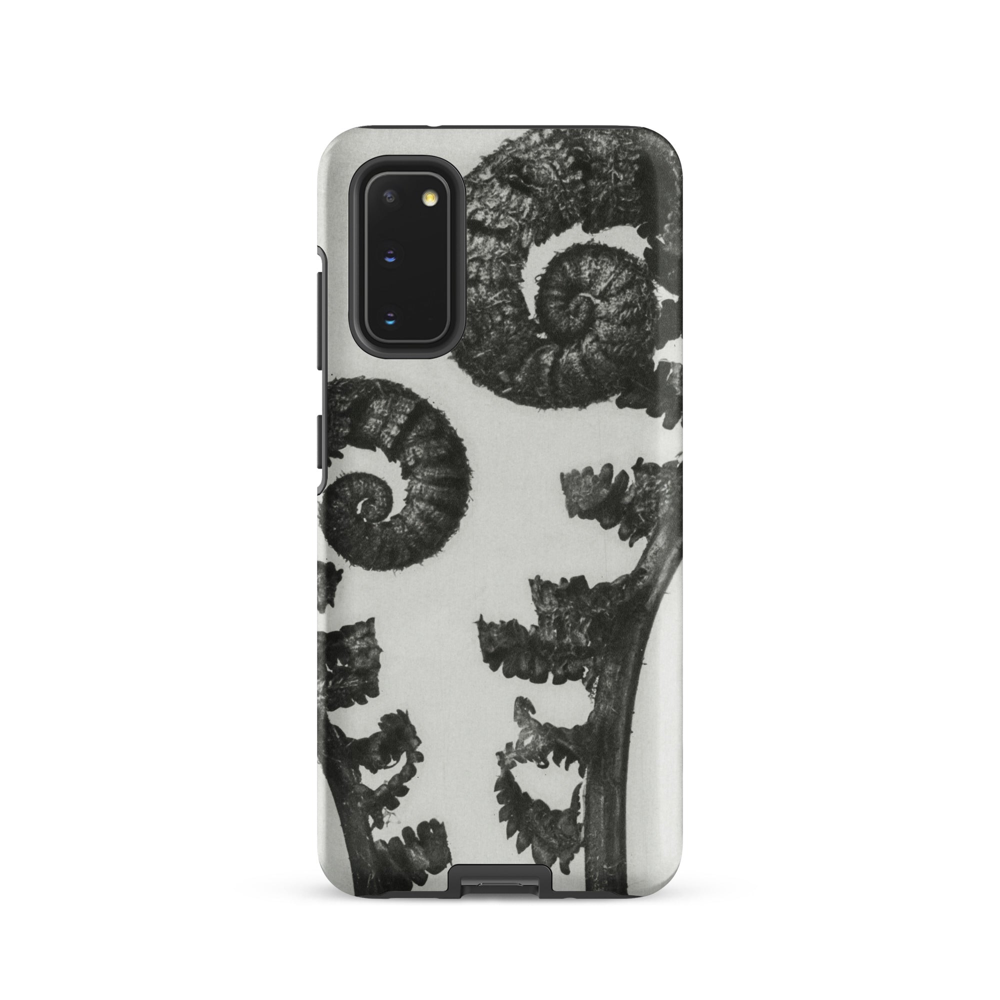 Aspidium Filix Mas (shield Fern Fronds) Karl Blossfeldt Samsung Case, Galaxy S20 / Matte, Smartphone Black White Fern Pattern Case