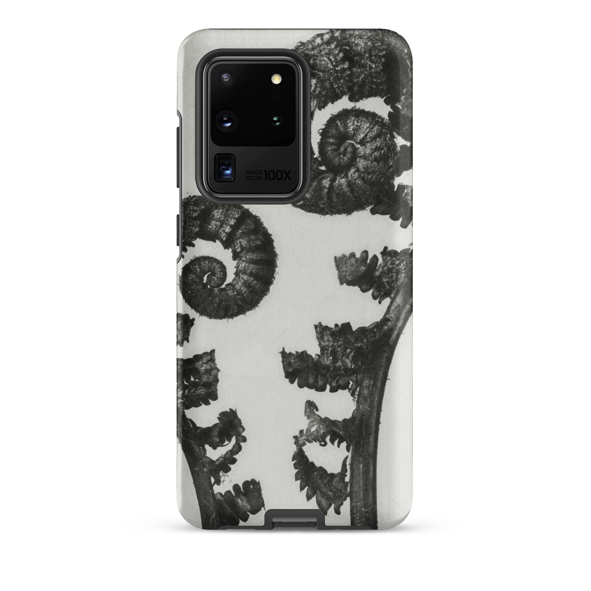 Aspidium Filix Mas (shield Fern Fronds) Karl Blossfeldt Samsung Case, Galaxy S20 Ultra / Matte, White Phone Case Black Fern Design