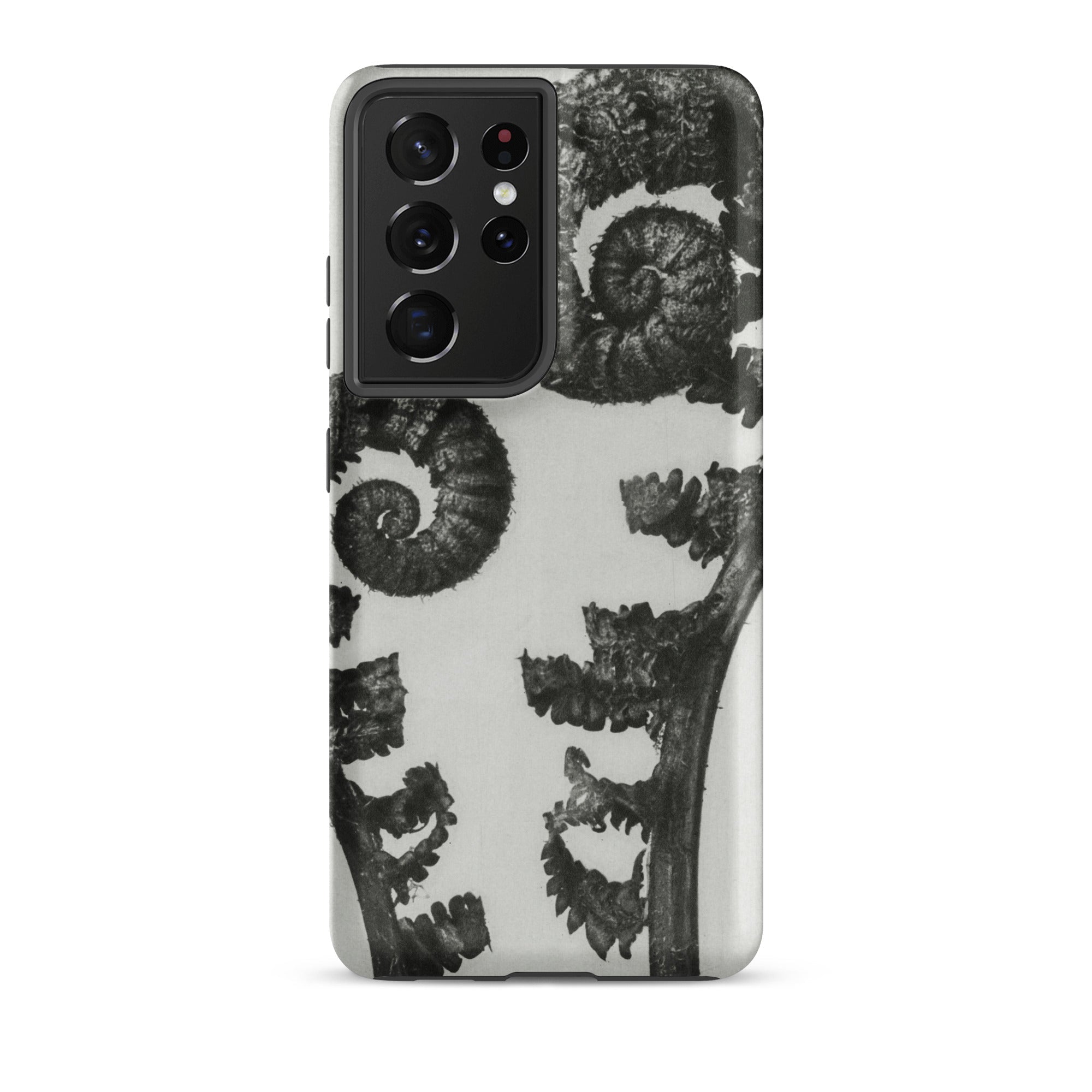 Aspidium Filix Mas (shield Fern Fronds) Karl Blossfeldt Samsung Case, Galaxy S21 Ultra / Matte, Black White Fern Patterned Smartphone Case