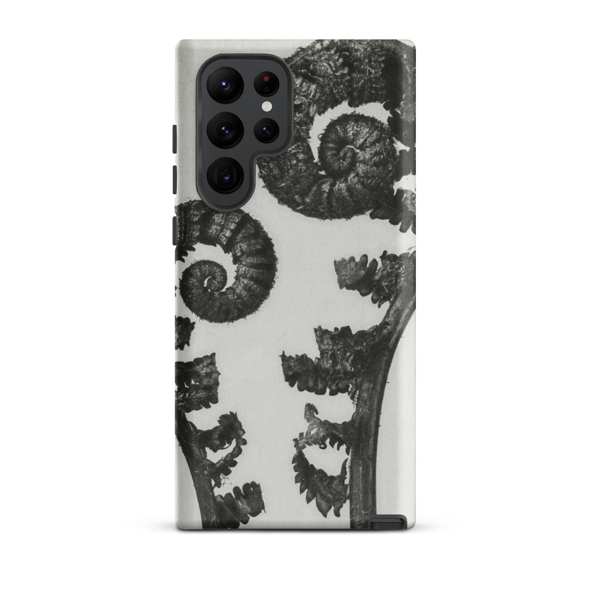 Aspidium Filix Mas (shield Fern Fronds) Karl Blossfeldt Samsung Case, Galaxy S22 Ultra / Matte, Smartphone Case Black White Fern Fiddlehead