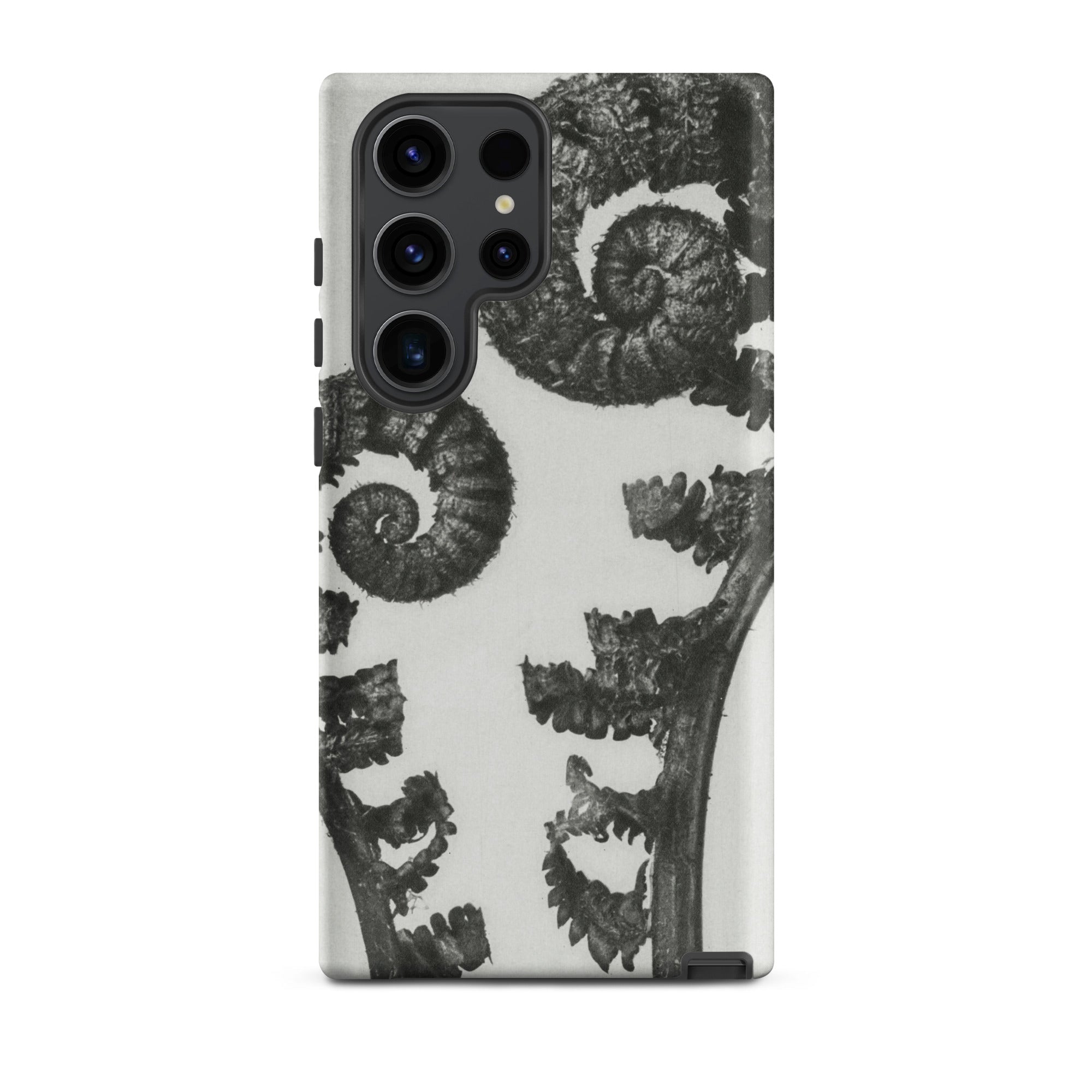 Aspidium Filix Mas (shield Fern Fronds) Karl Blossfeldt Samsung Case, Galaxy S23 Ultra / Matte, White Smartphone Case Black Fern Frond