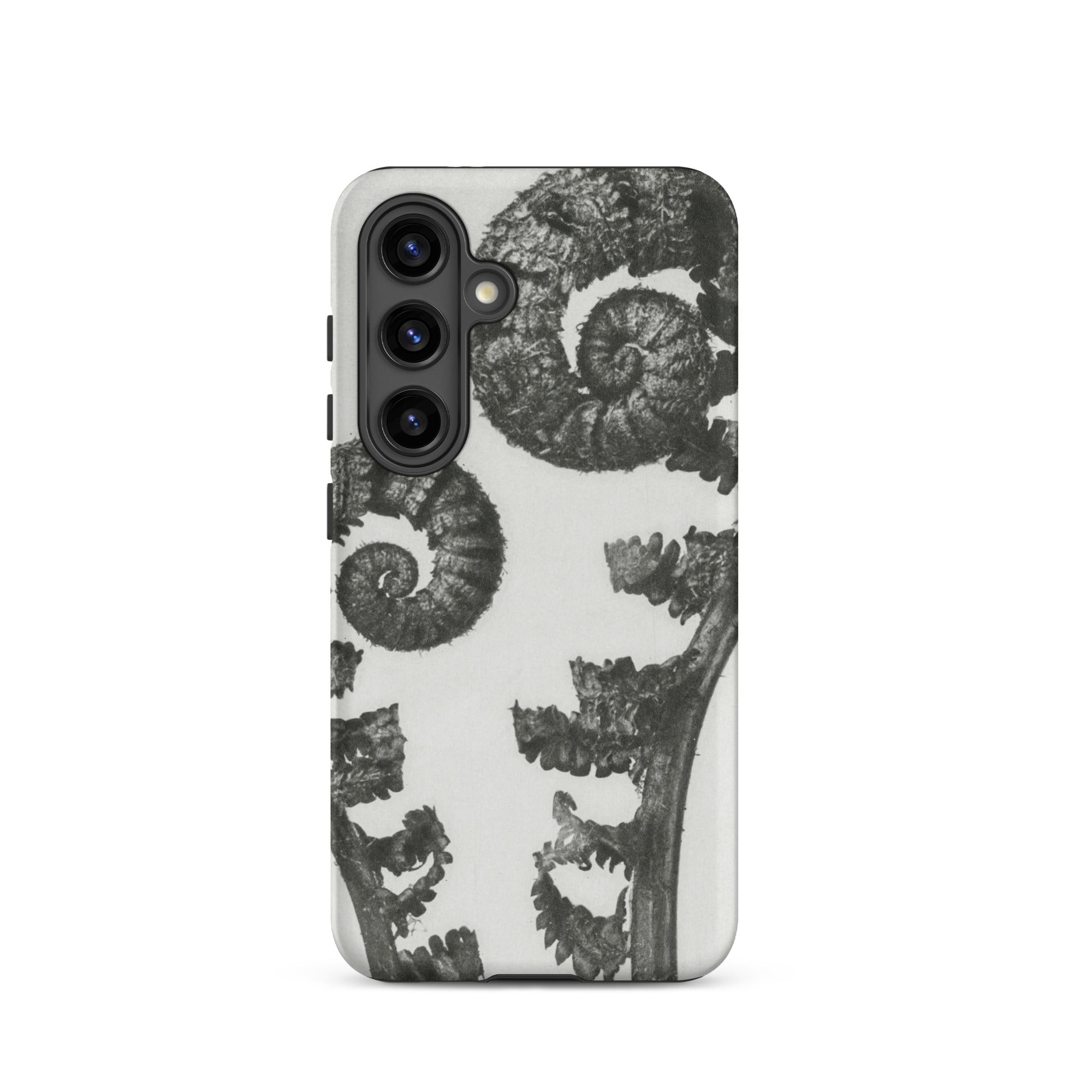 Aspidium Filix Mas (shield Fern Fronds) Karl Blossfeldt Samsung Case, Galaxy S24 / Matte, White Phone Case Black Fern Design