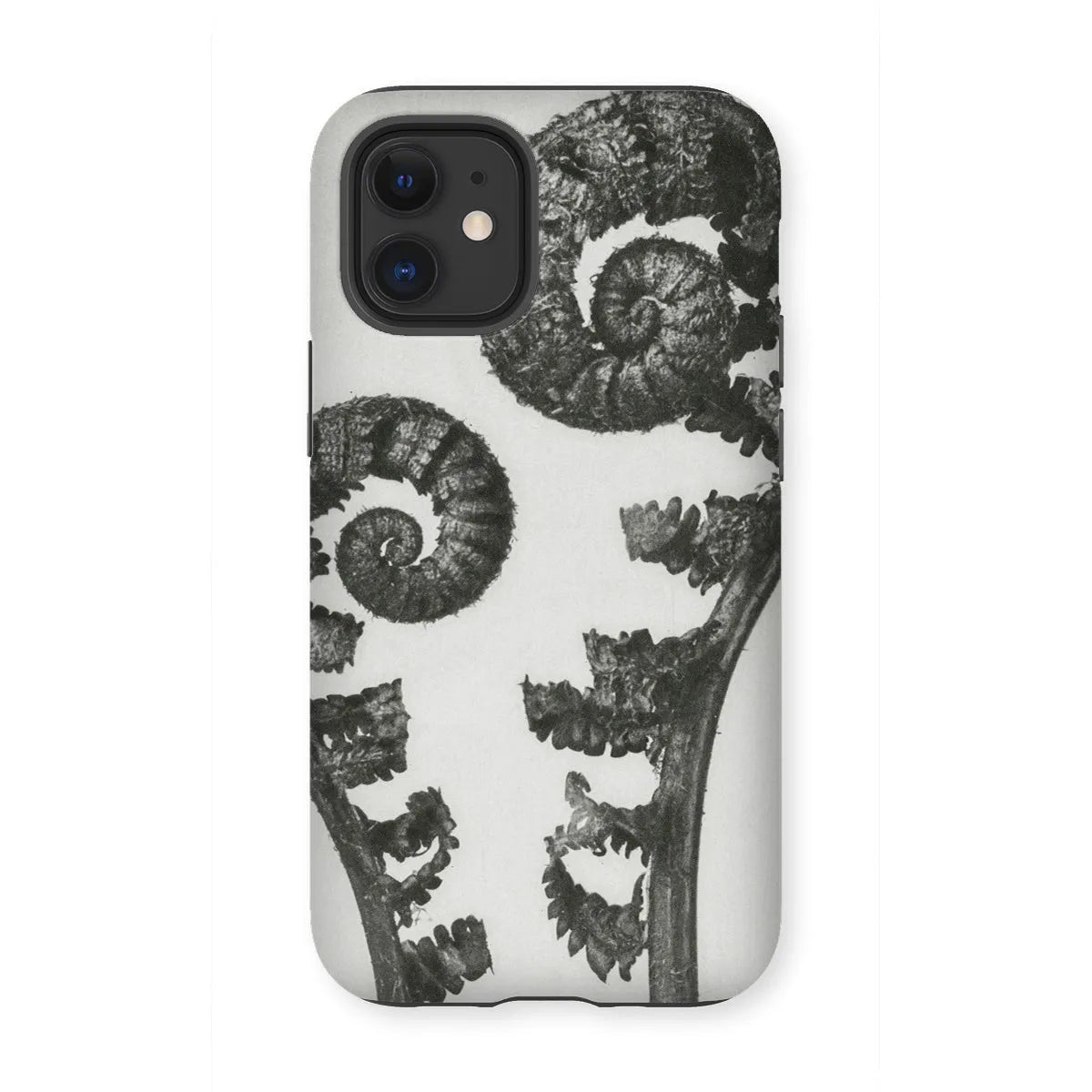 Aspidium Filix Mas (shield Fern Fronds) By Karl Blossfeldt Tough Phone Case - Iphone 12 Mini / Matte - Mobile Phone