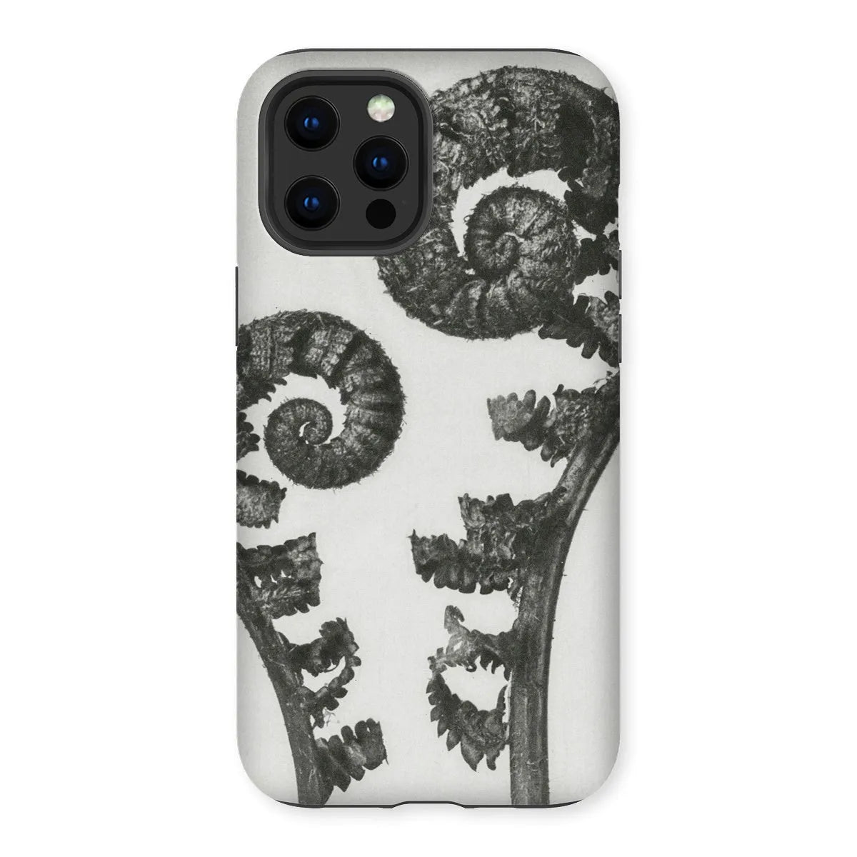 Aspidium Filix Mas (shield Fern Fronds) By Karl Blossfeldt Tough Phone Case - Iphone 12 Pro Max / Matte - Mobile Phone