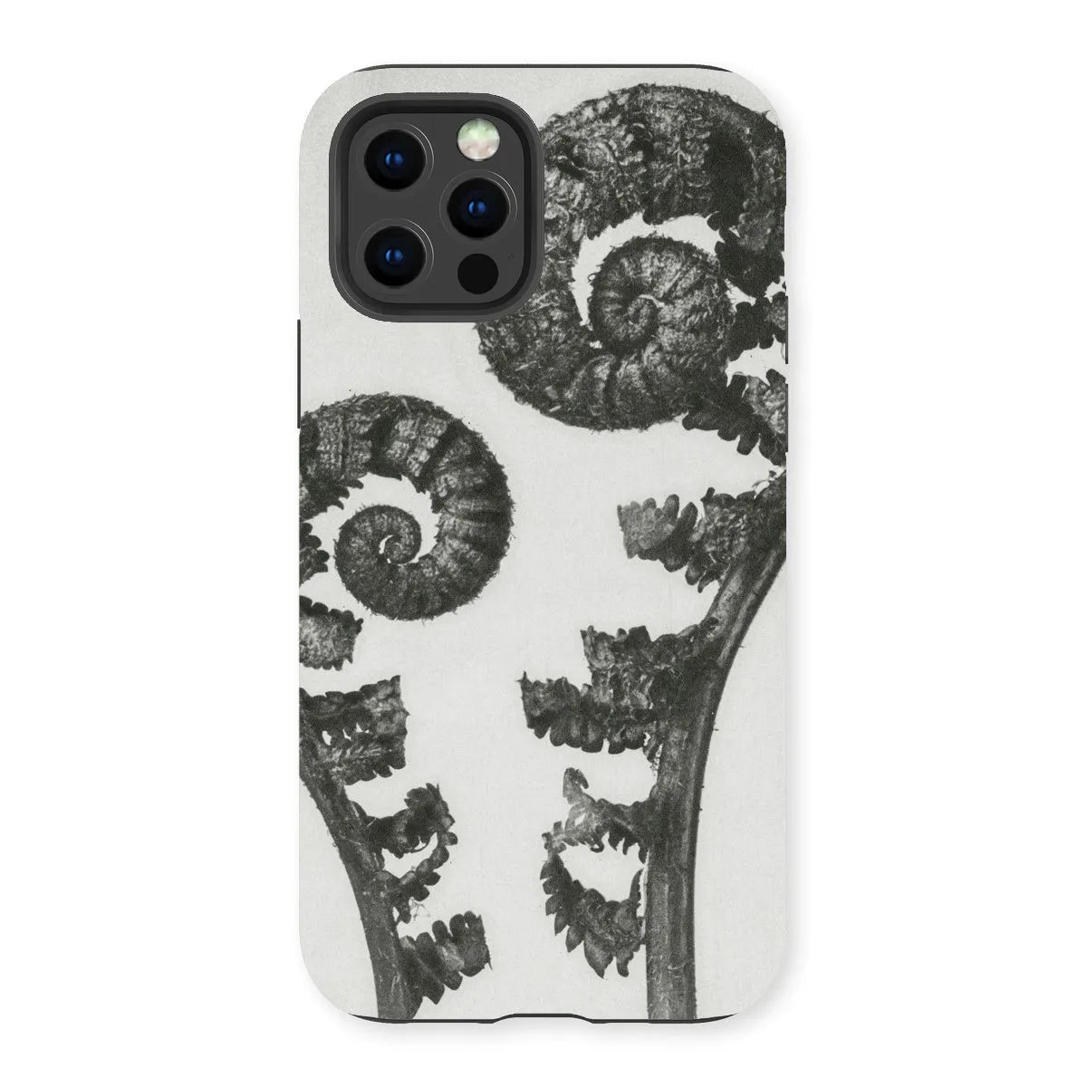 Aspidium Filix Mas (shield Fern Fronds) By Karl Blossfeldt Tough Phone Case - Iphone 13 Pro / Matte - Mobile Phone