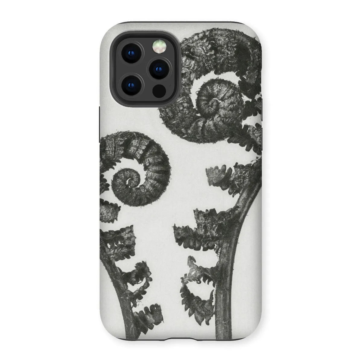 Aspidium Filix Mas (shield Fern Fronds) By Karl Blossfeldt Tough Phone Case - Iphone 12 Pro / Matte - Mobile Phone