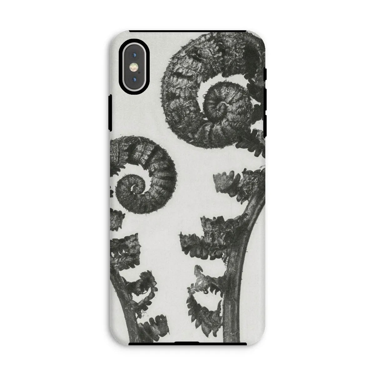 Aspidium Filix Mas (shield Fern Fronds) By Karl Blossfeldt Tough Phone Case - Iphone Xs Max / Matte - Mobile Phone