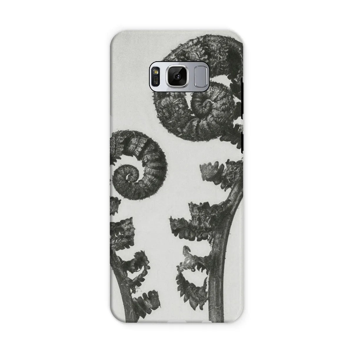 Aspidium Filix Mas (shield Fern Fronds) By Karl Blossfeldt Tough Phone Case - Samsung Galaxy S8 / Matte - Mobile Phone