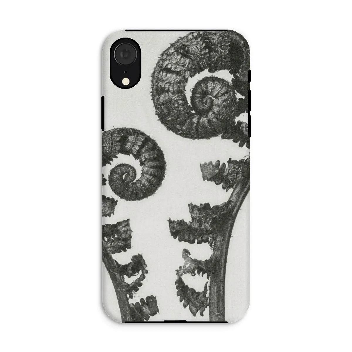 Aspidium Filix Mas (shield Fern Fronds) By Karl Blossfeldt Tough Phone Case - Iphone Xr / Matte - Mobile Phone Cases