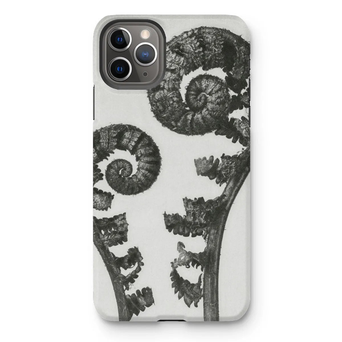 Aspidium Filix Mas (shield Fern Fronds) By Karl Blossfeldt Tough Phone Case - Iphone 11 Pro Max / Matte - Mobile Phone
