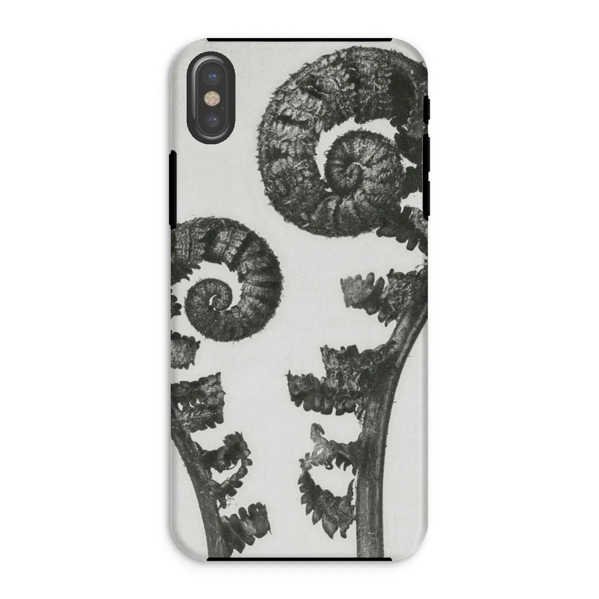 Aspidium Filix Mas (shield Fern Fronds) By Karl Blossfeldt Tough Phone Case - Iphone Xs / Matte - Mobile Phone Cases