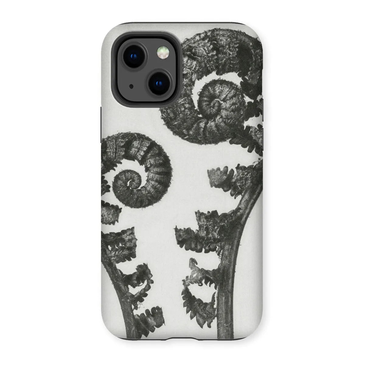 Aspidium Filix Mas (shield Fern Fronds) By Karl Blossfeldt Tough Phone Case - Iphone 13 / Matte - Mobile Phone Cases