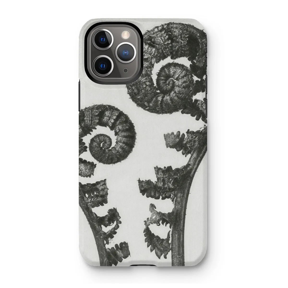Aspidium Filix Mas (shield Fern Fronds) By Karl Blossfeldt Tough Phone Case - Iphone 11 Pro / Matte - Mobile Phone