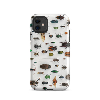Assorted Coleoptera - Beetle Taxonomy Iphone Case, 11 / Matte, Bug-patterned Phone Case