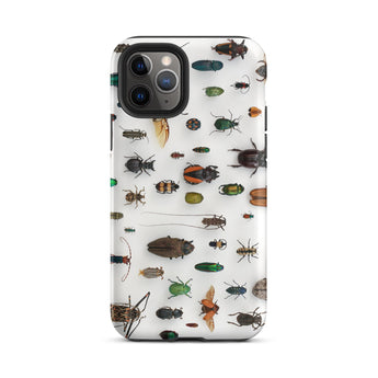 Assorted Coleoptera - Beetle Taxonomy Iphone Case, 11 Pro / Matte, Bug-patterned Phone Case