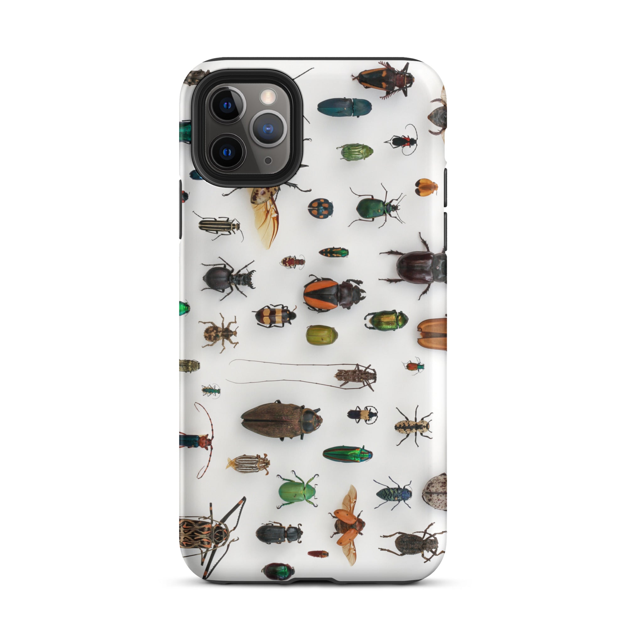 Assorted Coleoptera Beetle Taxonomy Iphone Case, 11 Pro Max / Matte, Bug Covered Iphone Case