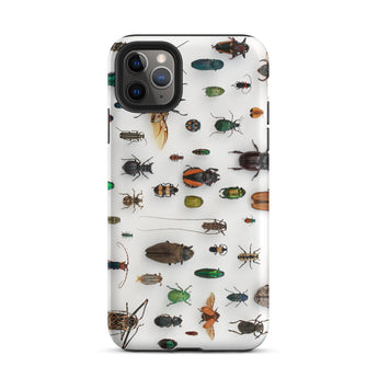 Assorted Coleoptera - Beetle Taxonomy Iphone Case, 11 Pro Max / Matte, Bug-covered Iphone Case