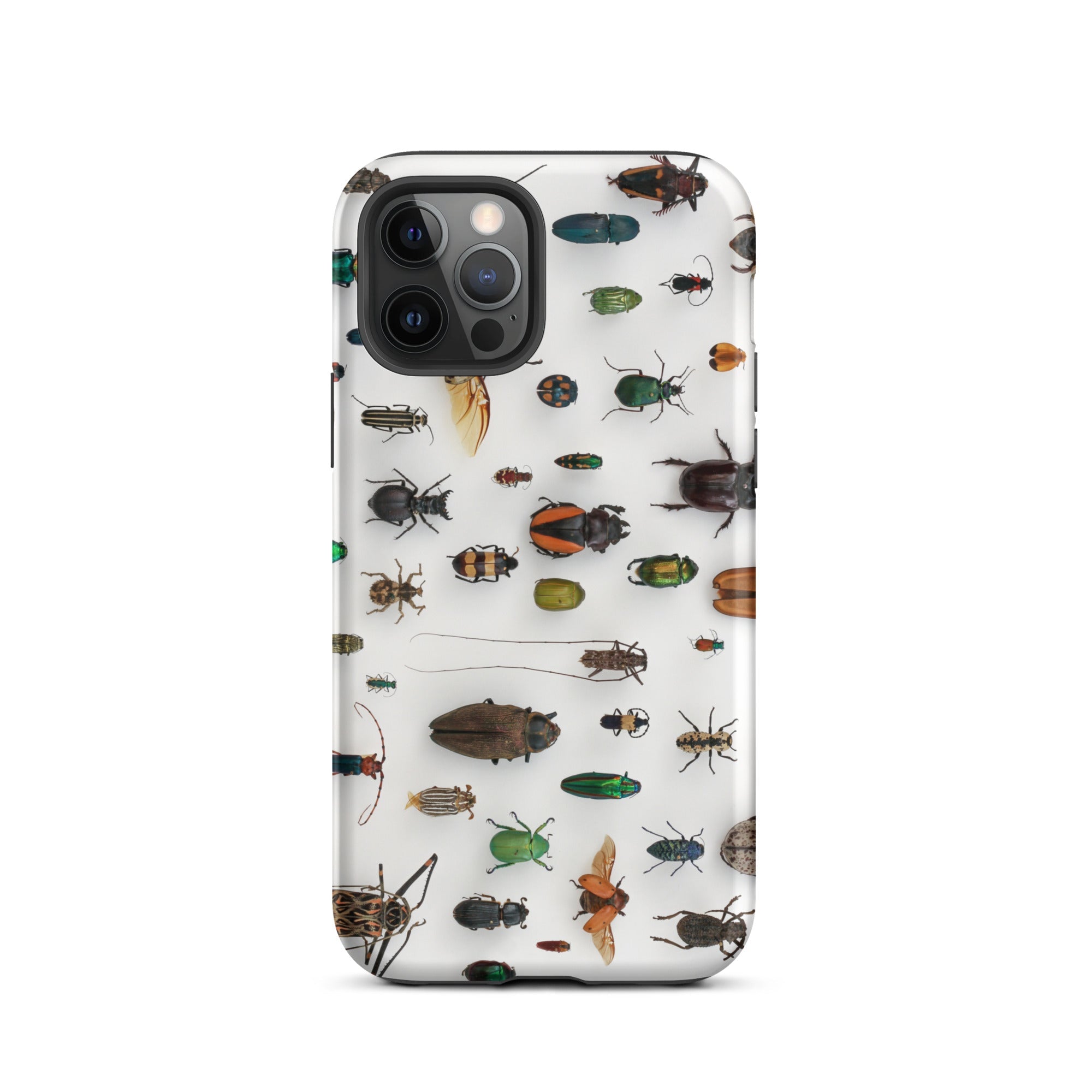 Assorted Coleoptera Beetle Taxonomy Iphone Case, 12 Pro / Matte, Insect Covered Phone Case
