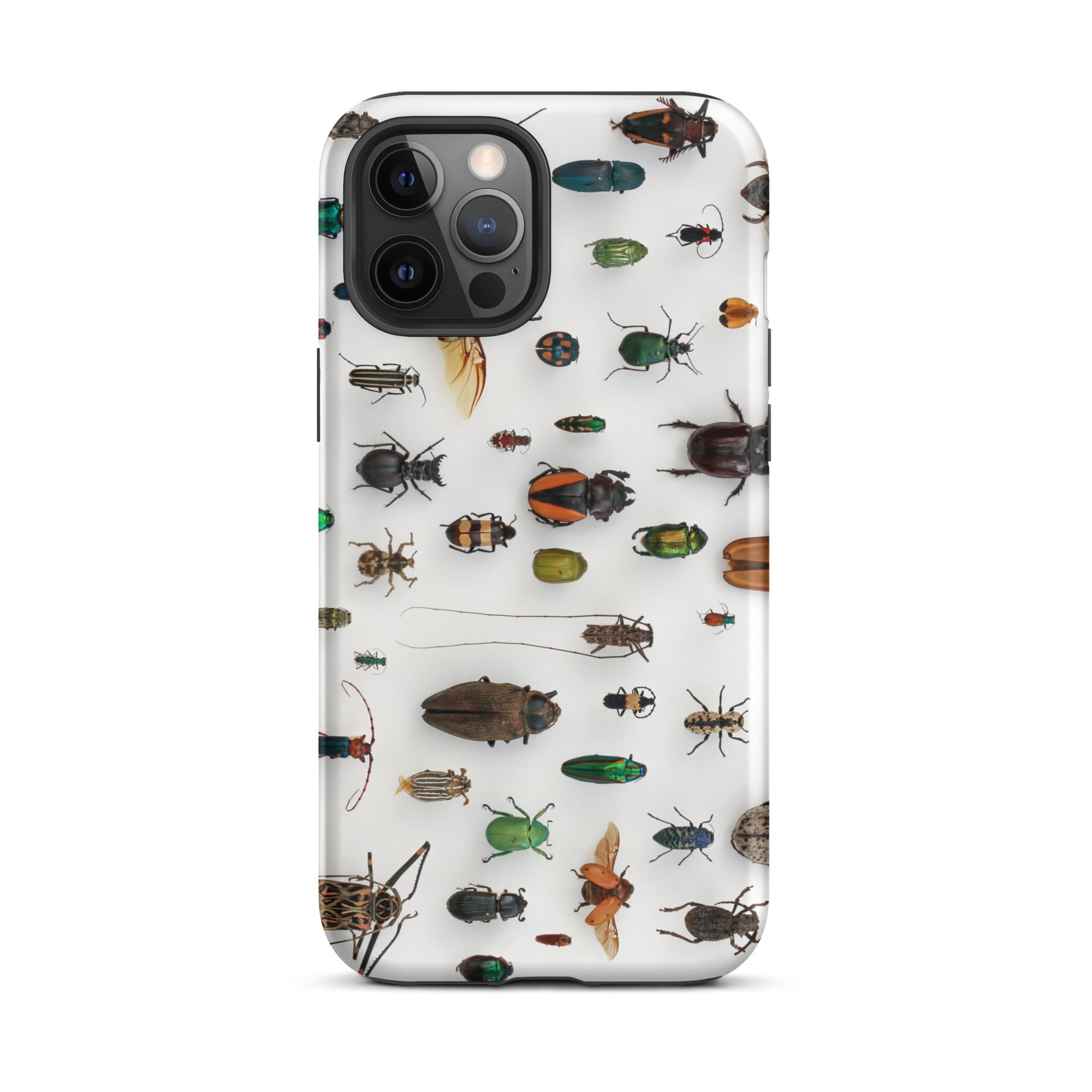 Assorted Coleoptera Beetle Taxonomy Iphone Case, 12 Pro Max / Matte, Bug Patterned Phone Case