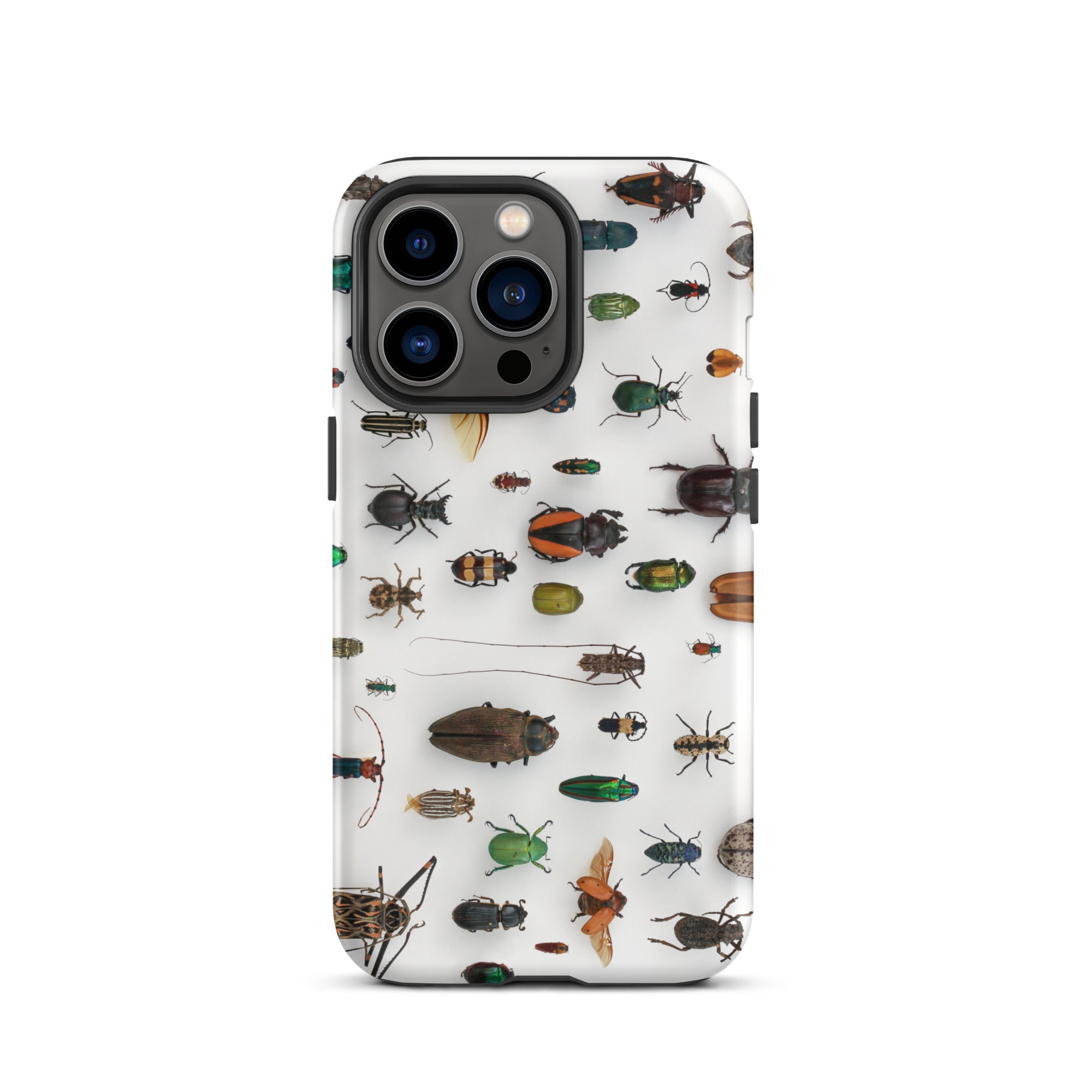 Assorted Coleoptera Beetle Taxonomy Iphone Case, 13 Pro / Matte, Bug Patterned Phone Case