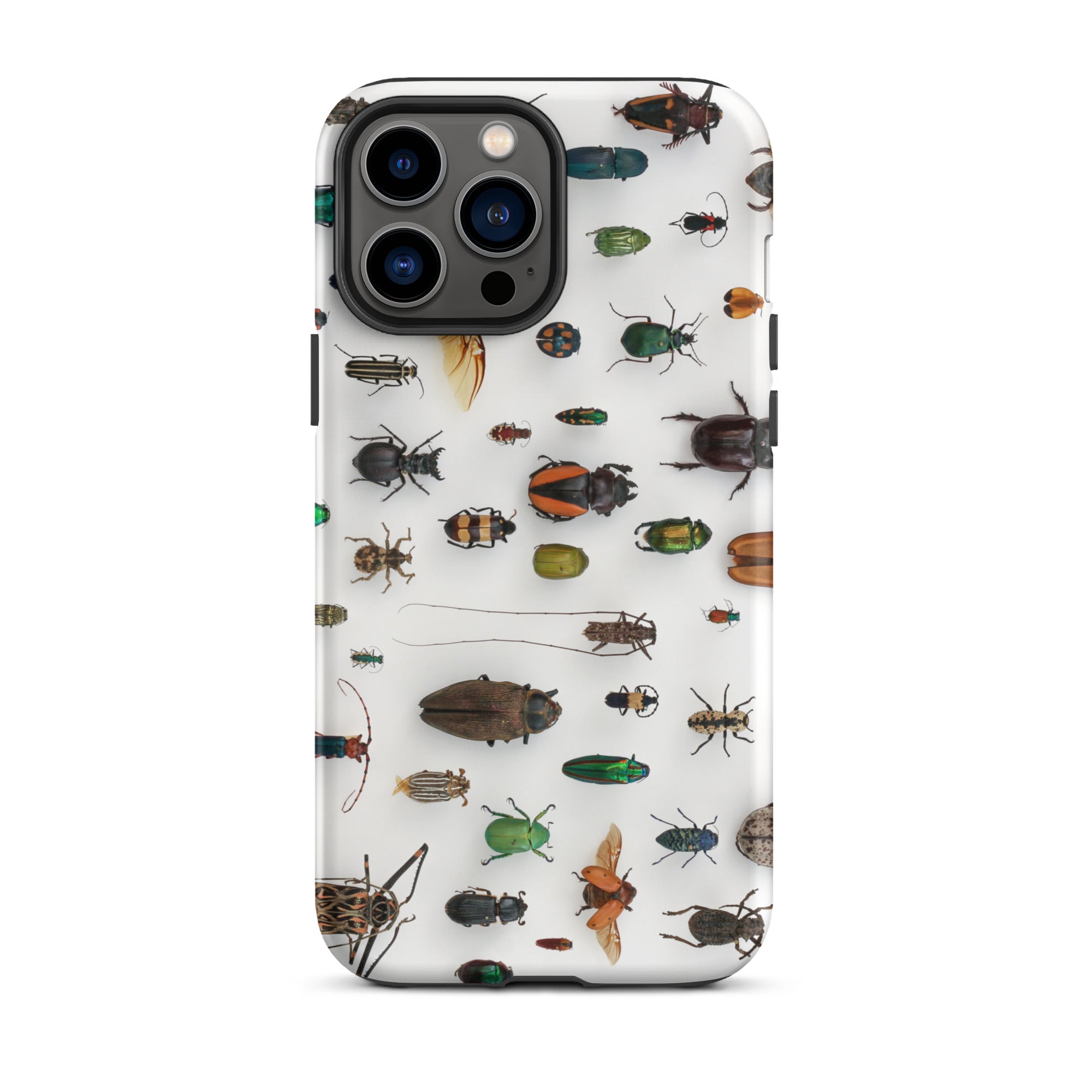 Assorted Coleoptera Beetle Taxonomy Iphone Case, 13 Pro Max / Matte, Bug Patterned Phone Case