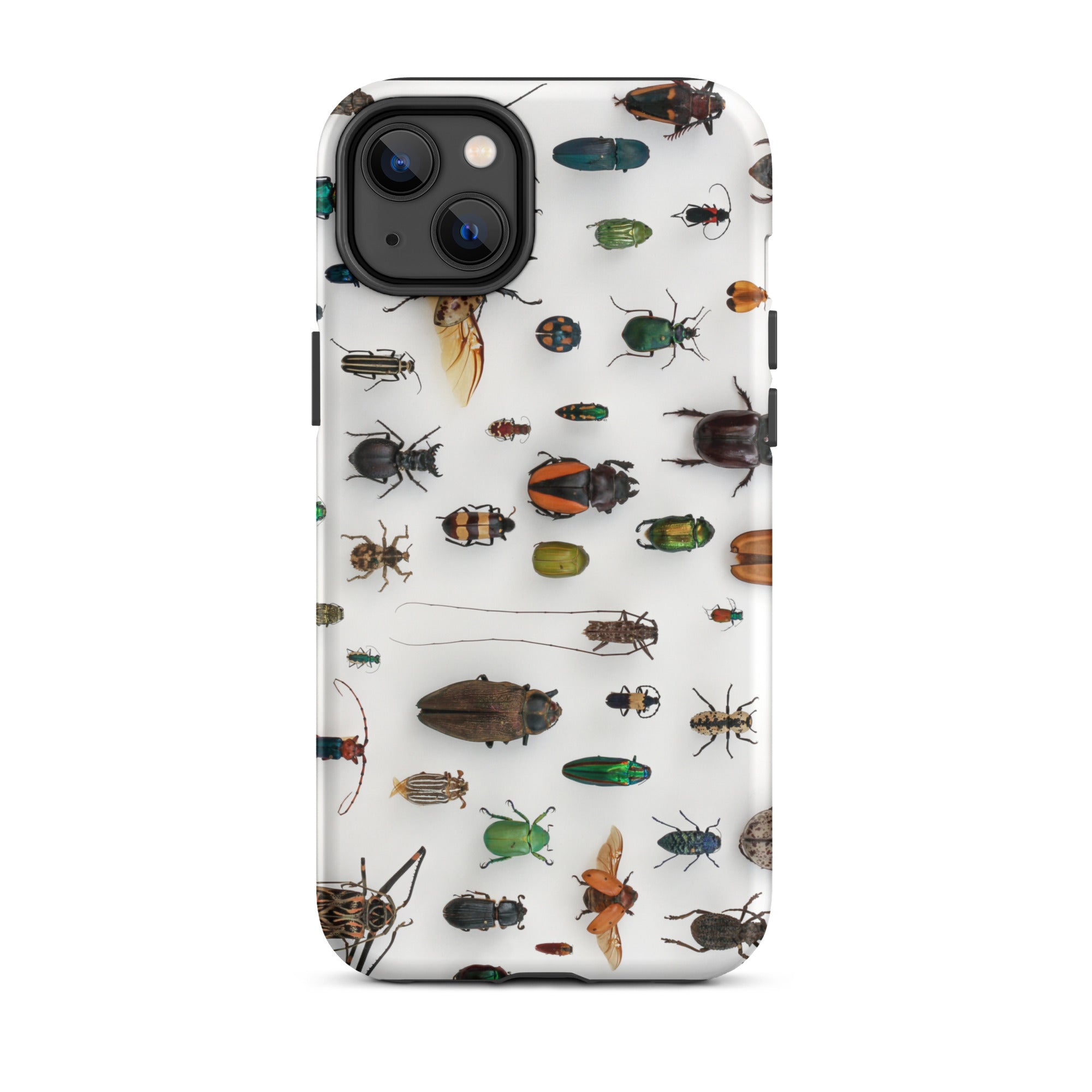 Assorted Coleoptera Beetle Taxonomy Iphone Case, 14 Plus / Matte, Bug Patterned Phone Case
