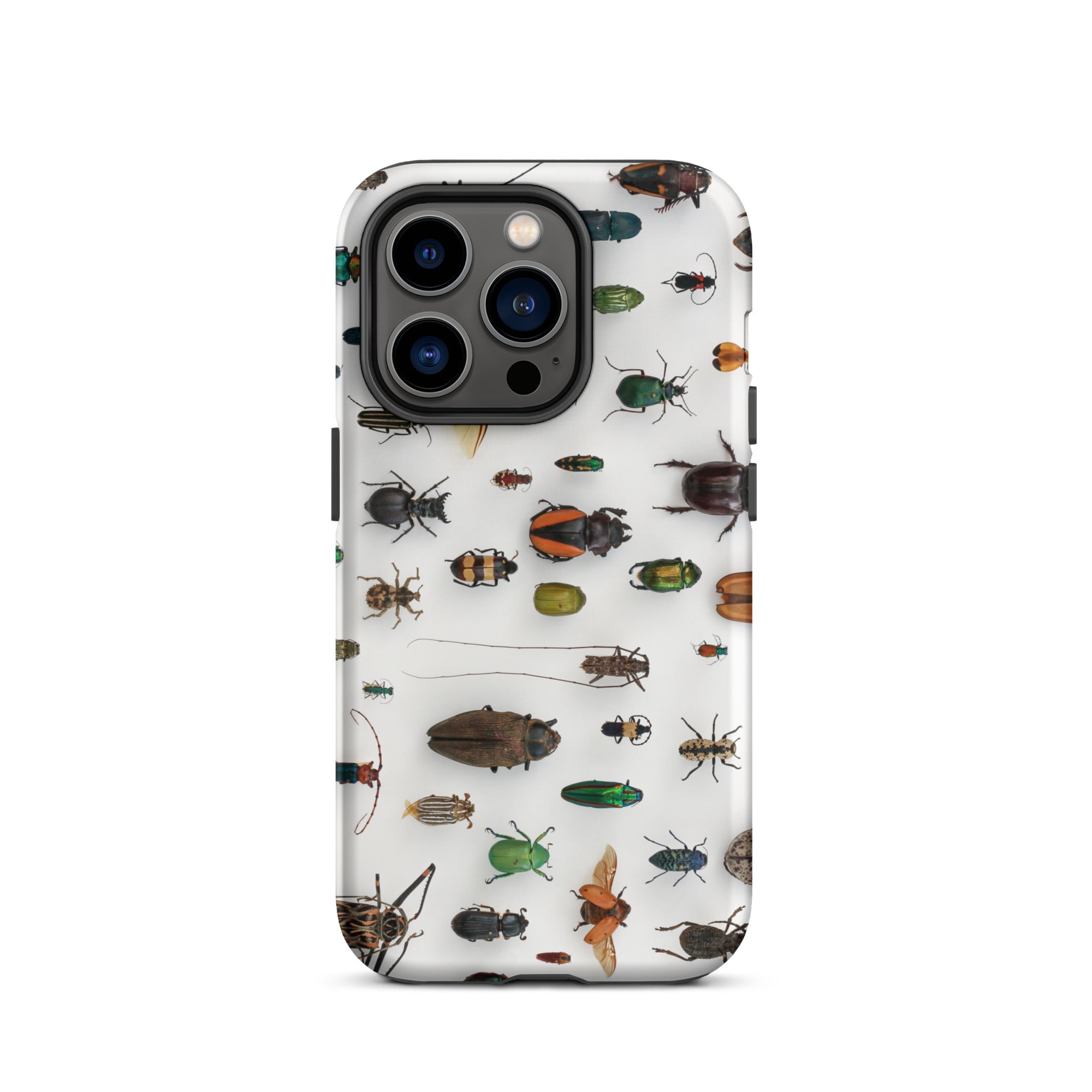 Assorted Coleoptera Beetle Taxonomy Iphone Case, 14 Pro / Matte, Bug Patterned Phone Case