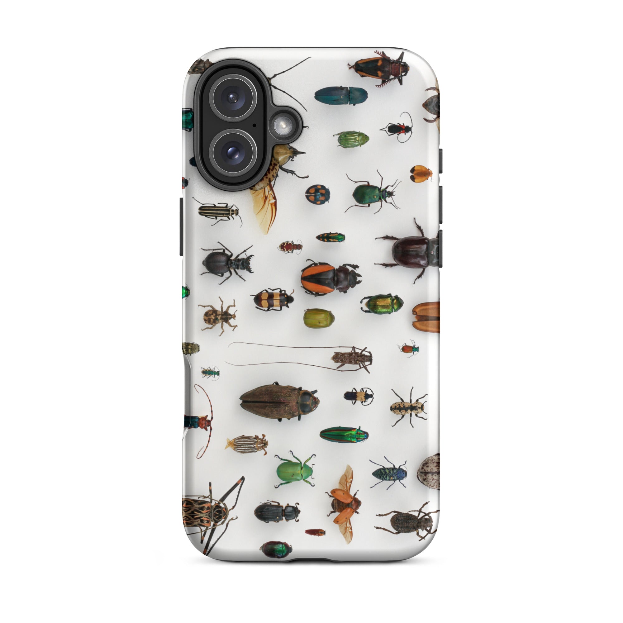 Assorted Coleoptera Beetle Taxonomy Iphone Case, 16 Plus / Matte, Bug Patterned Phone Case