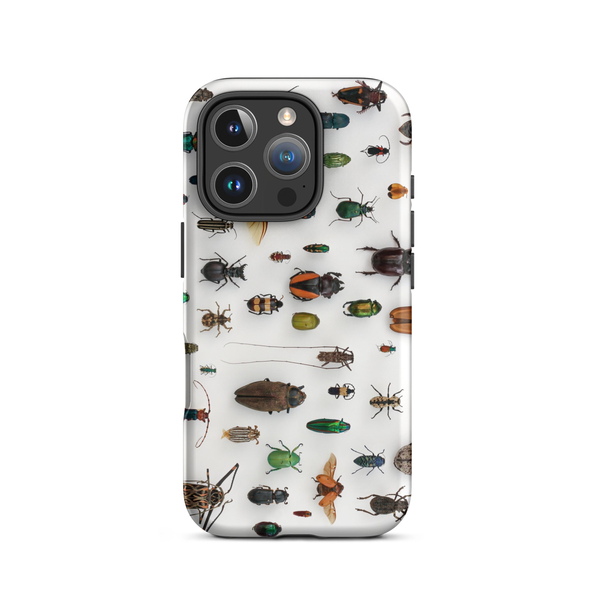 Assorted Coleoptera Beetle Taxonomy Iphone Case, 16 Pro / Matte, Bug Patterned Phone Case