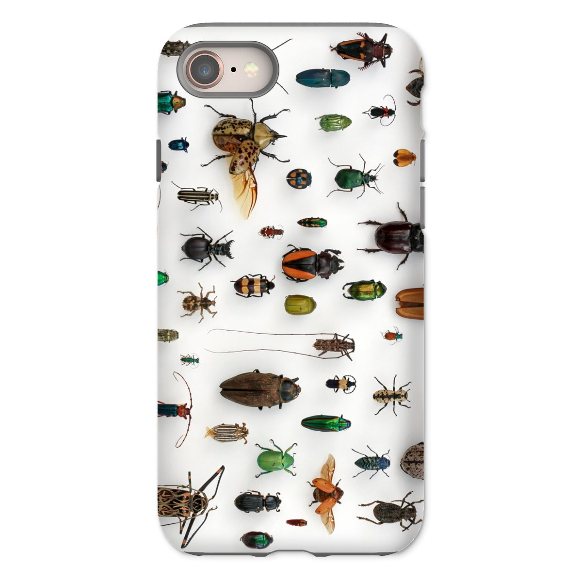 Assorted Coleoptera Beetle Taxonomy Iphone Case, 8 / Matte, Beetle Patterned Phone Case