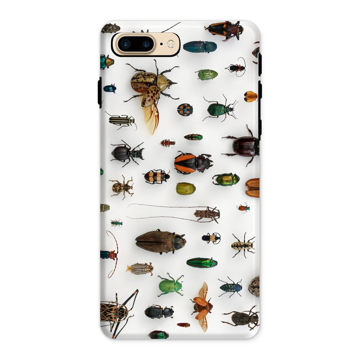 Assorted Coleoptera Beetle Taxonomy Iphone Case, 8 Plus / Matte, Beetle Patterned Phone Case