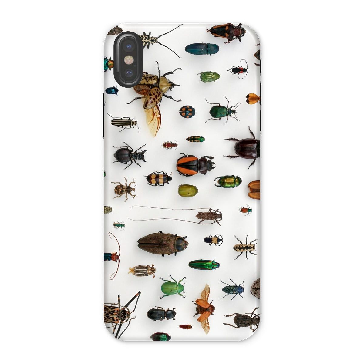 Assorted Coleoptera Beetle Taxonomy Iphone Case, x / Matte, Beetle Patterned Phone Case