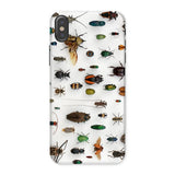 Assorted Coleoptera - Beetle Taxonomy Iphone Case, x / Matte, Beetle-patterned Phone Case