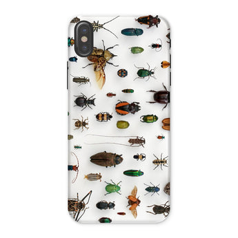 Assorted Coleoptera - Beetle Taxonomy Iphone Case, x / Matte, Beetle-patterned Phone Case