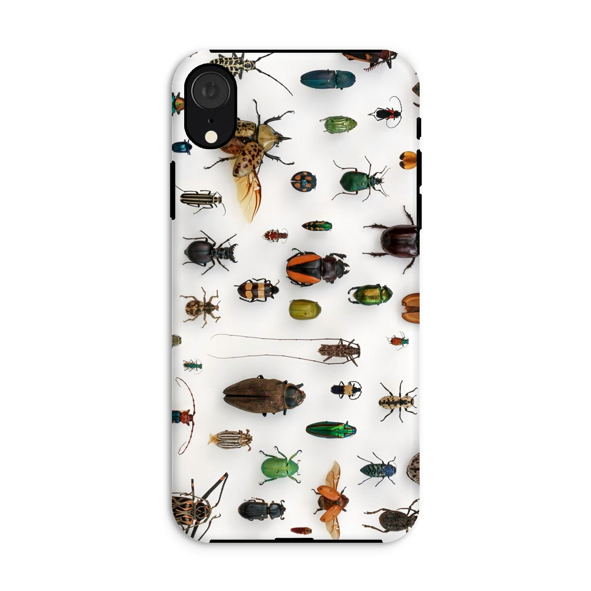 Assorted Coleoptera Beetle Taxonomy Iphone Case, Xr / Matte, Bug Patterned Phone Case
