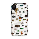 Assorted Coleoptera Beetle Taxonomy Iphone Case, Xr / Matte, Bug Patterned Phone Case