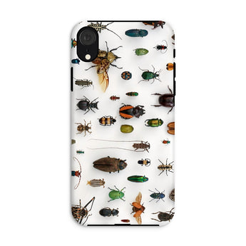 Assorted Coleoptera - Beetle Taxonomy Iphone Case, Xr / Matte, Bug-patterned Phone Case