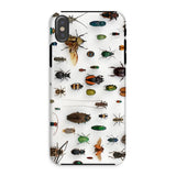Assorted Coleoptera - Beetle Taxonomy Iphone Case, Xs / Matte, Phone Case Insect Pattern