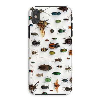 Assorted Coleoptera - Beetle Taxonomy Iphone Case, Xs / Matte, Phone Case Insect Pattern