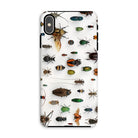 Assorted Coleoptera Beetle Taxonomy Iphone Case, Xs Max / Matte, Bug Covered Phone Case