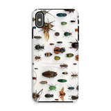 Assorted Coleoptera - Beetle Taxonomy Iphone Case, Xs Max / Matte, Bug-covered Phone Case