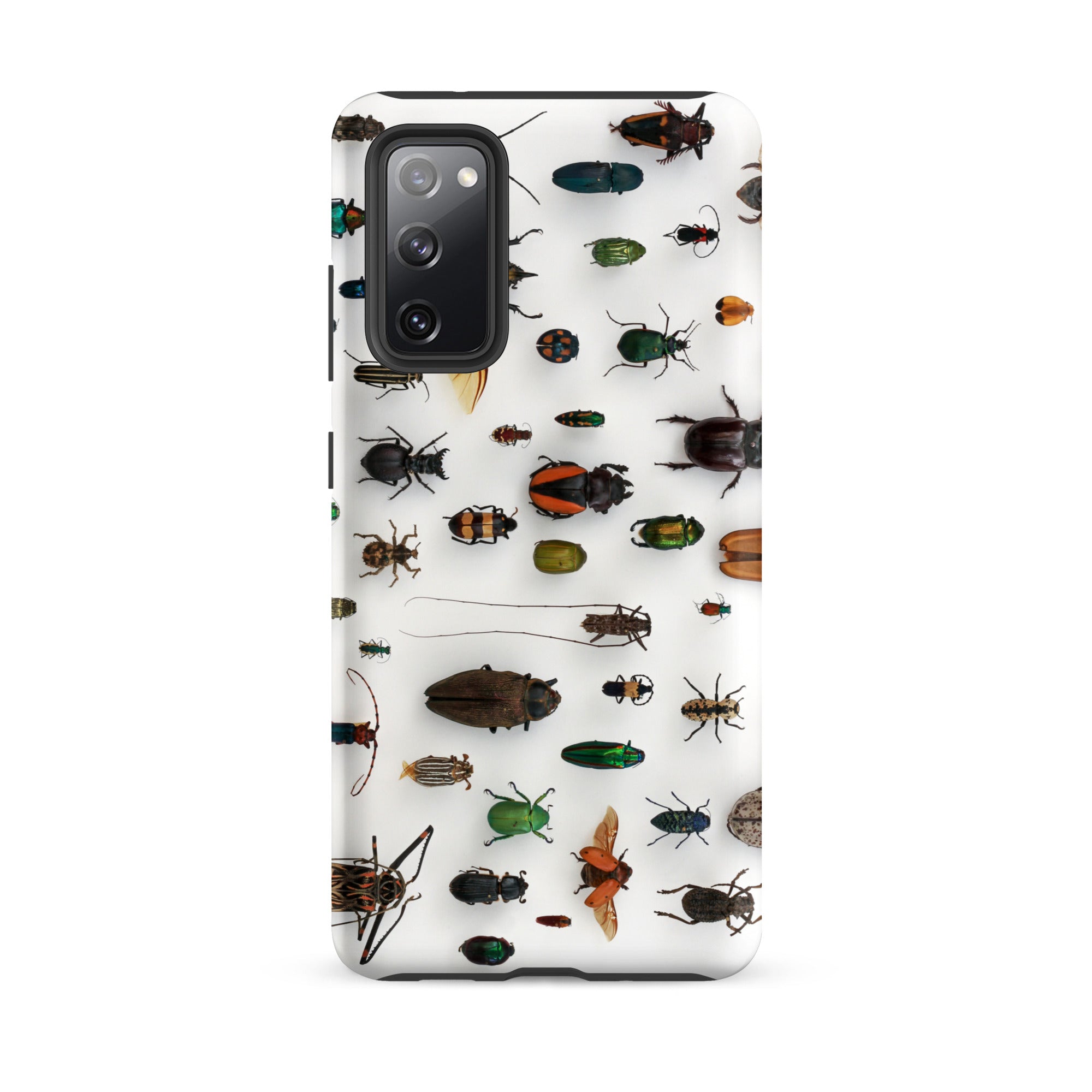 Assorted Coleoptera Beetle Taxonomy Samsung Case, Galaxy S20 Fe / Matte, White Smartphone Case Collection Insects