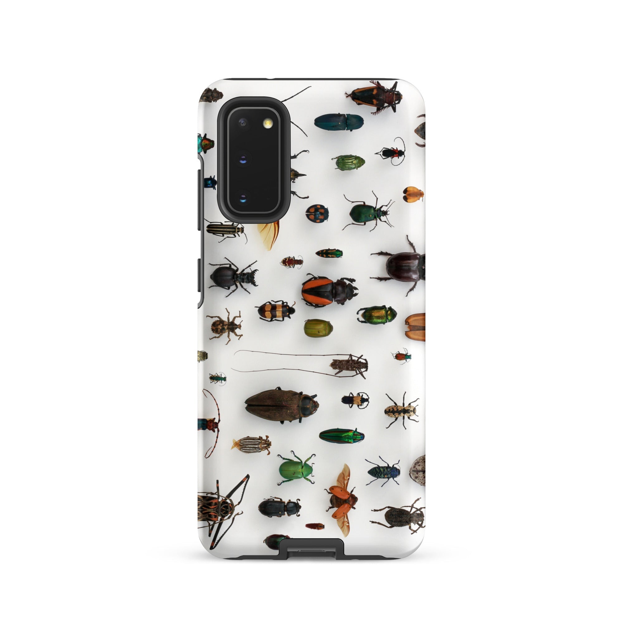 Assorted Coleoptera Beetle Taxonomy Samsung Case, Galaxy S20 / Matte, White Smartphone Case Pattern Beetles