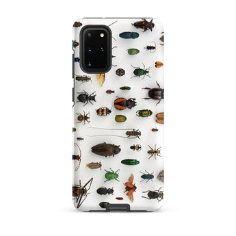 Assorted Coleoptera - Beetle Taxonomy Samsung Case, Galaxy S20 Plus / Matte, Phone Case Adorned Pattern Beetles Insects