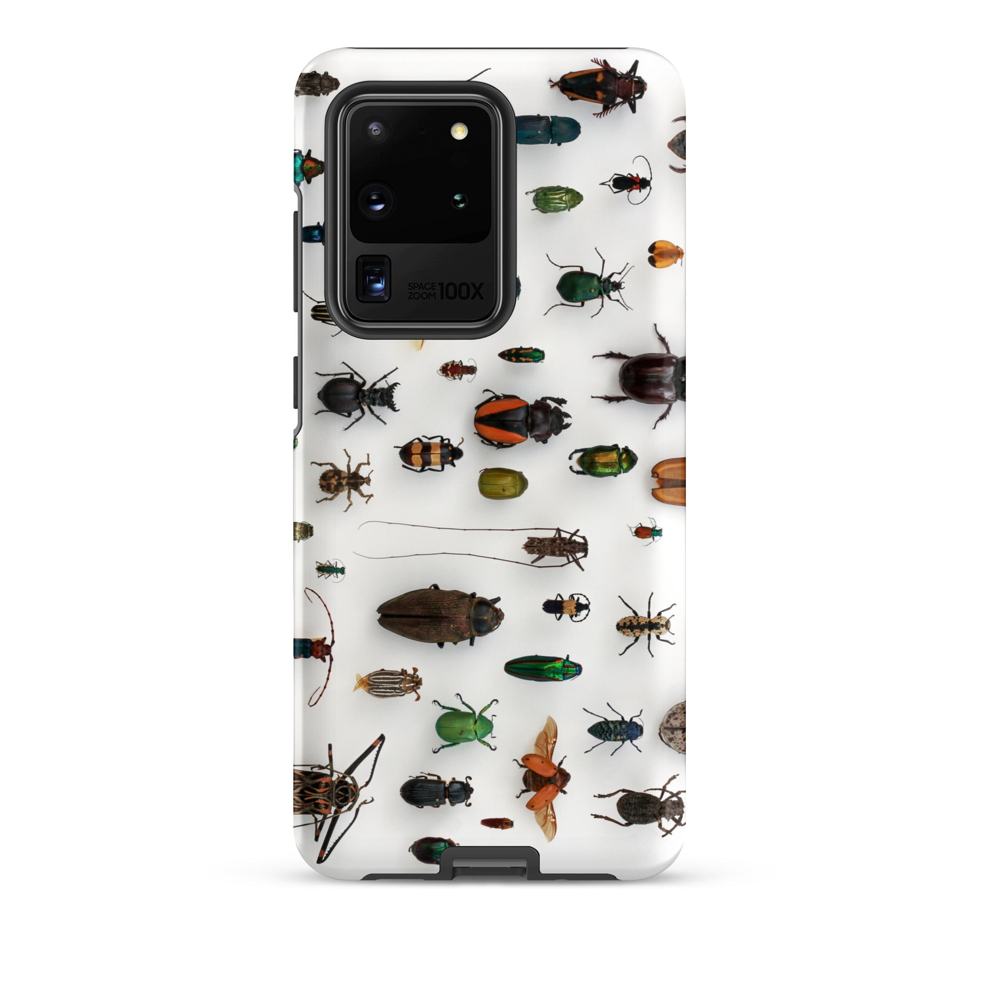 Assorted Coleoptera Beetle Taxonomy Samsung Case, Galaxy S20 Ultra / Matte, White Smartphone Case Pattern Insects
