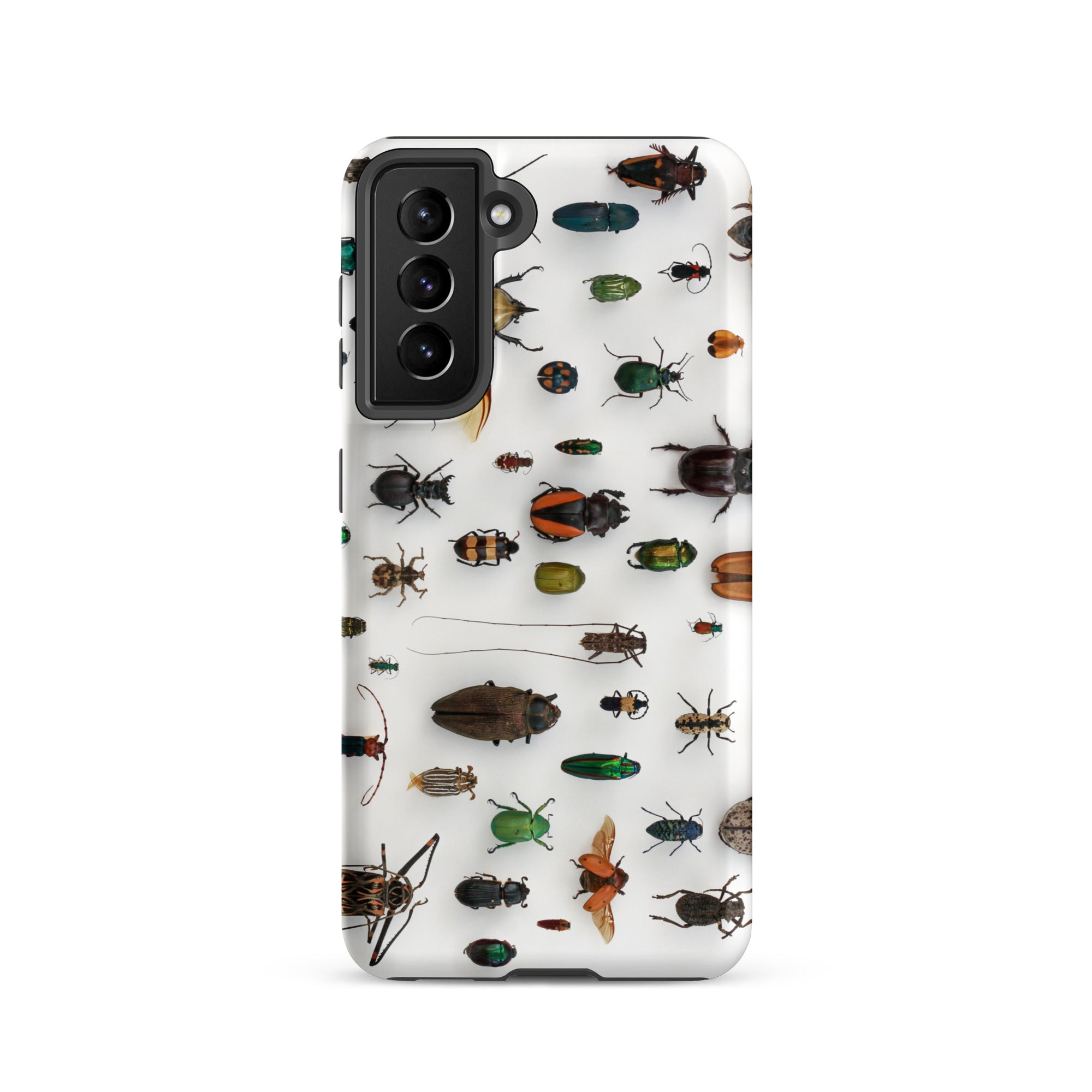 Assorted Coleoptera Beetle Taxonomy Samsung Case, Galaxy S21 / Matte, White Smartphone Case Collection Insects