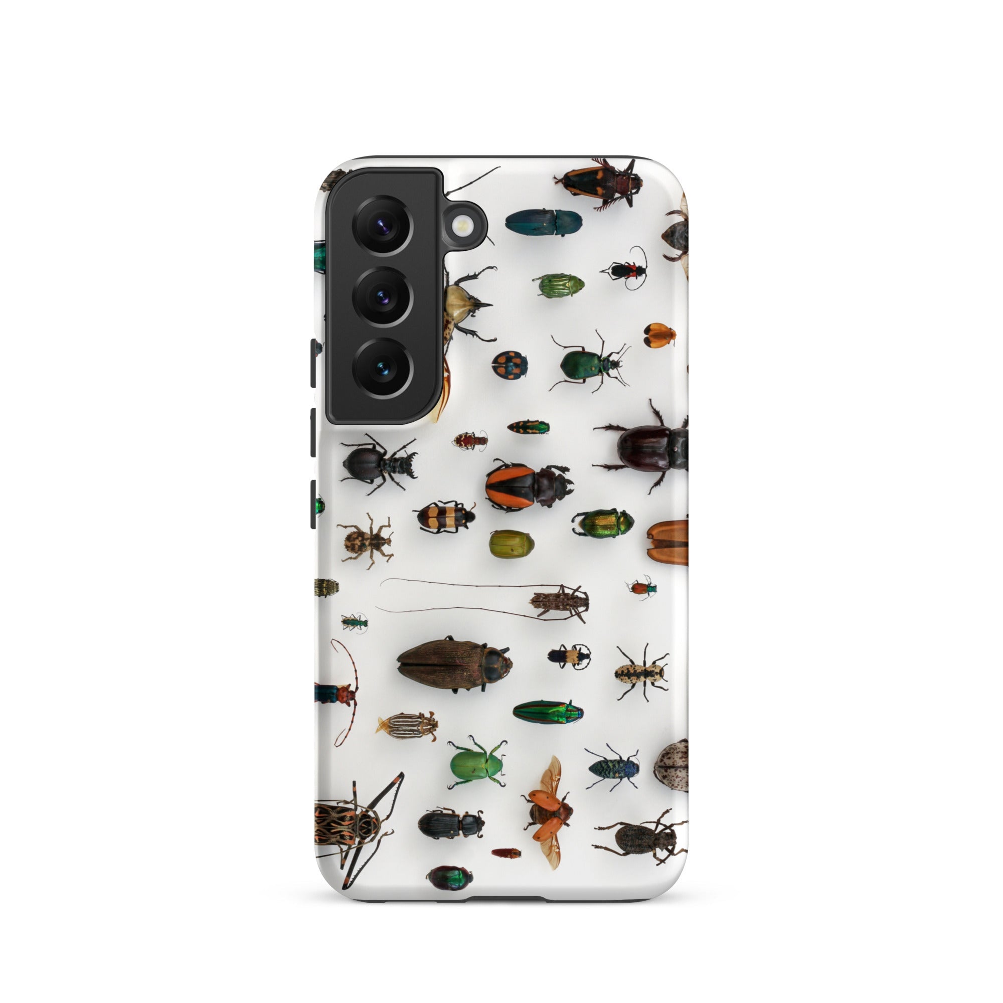 Assorted Coleoptera Beetle Taxonomy Samsung Case, Galaxy S22 / Matte, Smartphone Case Pattern Insects