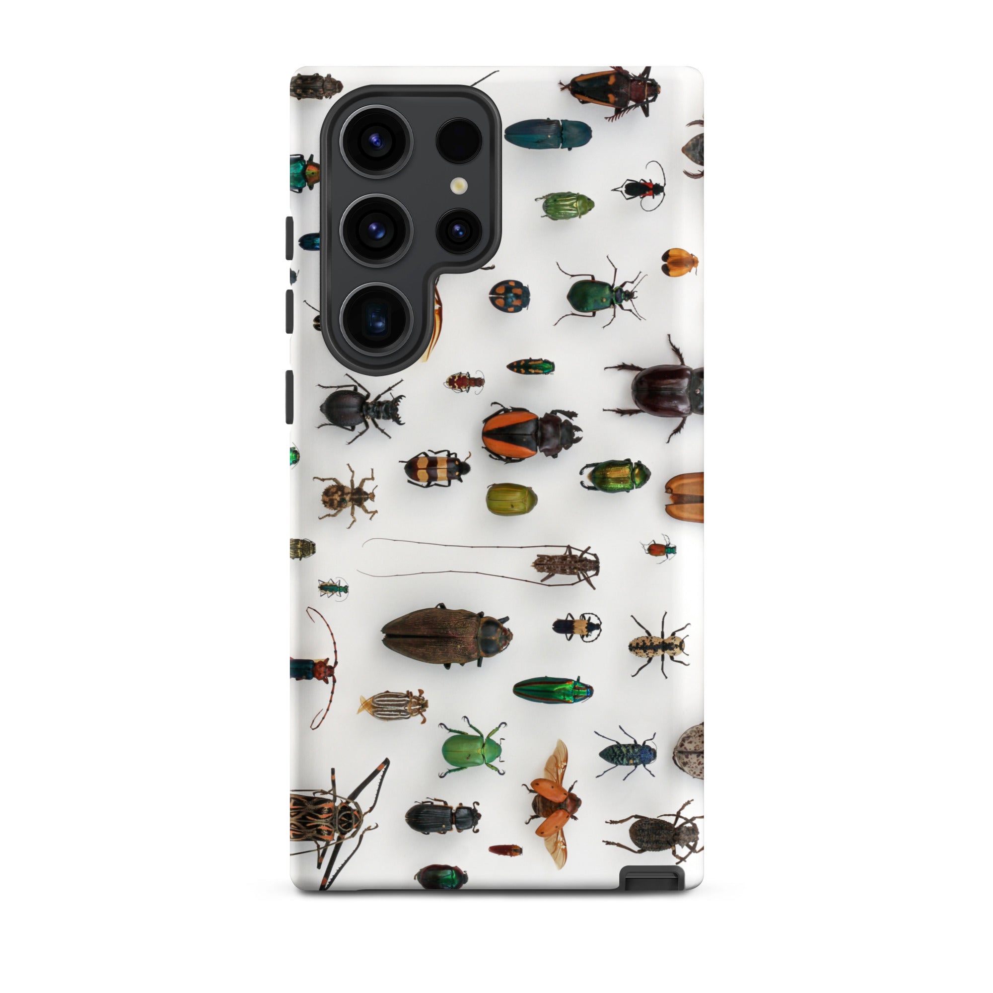 Assorted Coleoptera Beetle Taxonomy Samsung Case, Galaxy S23 Ultra / Matte, White Phone Case Display Insects
