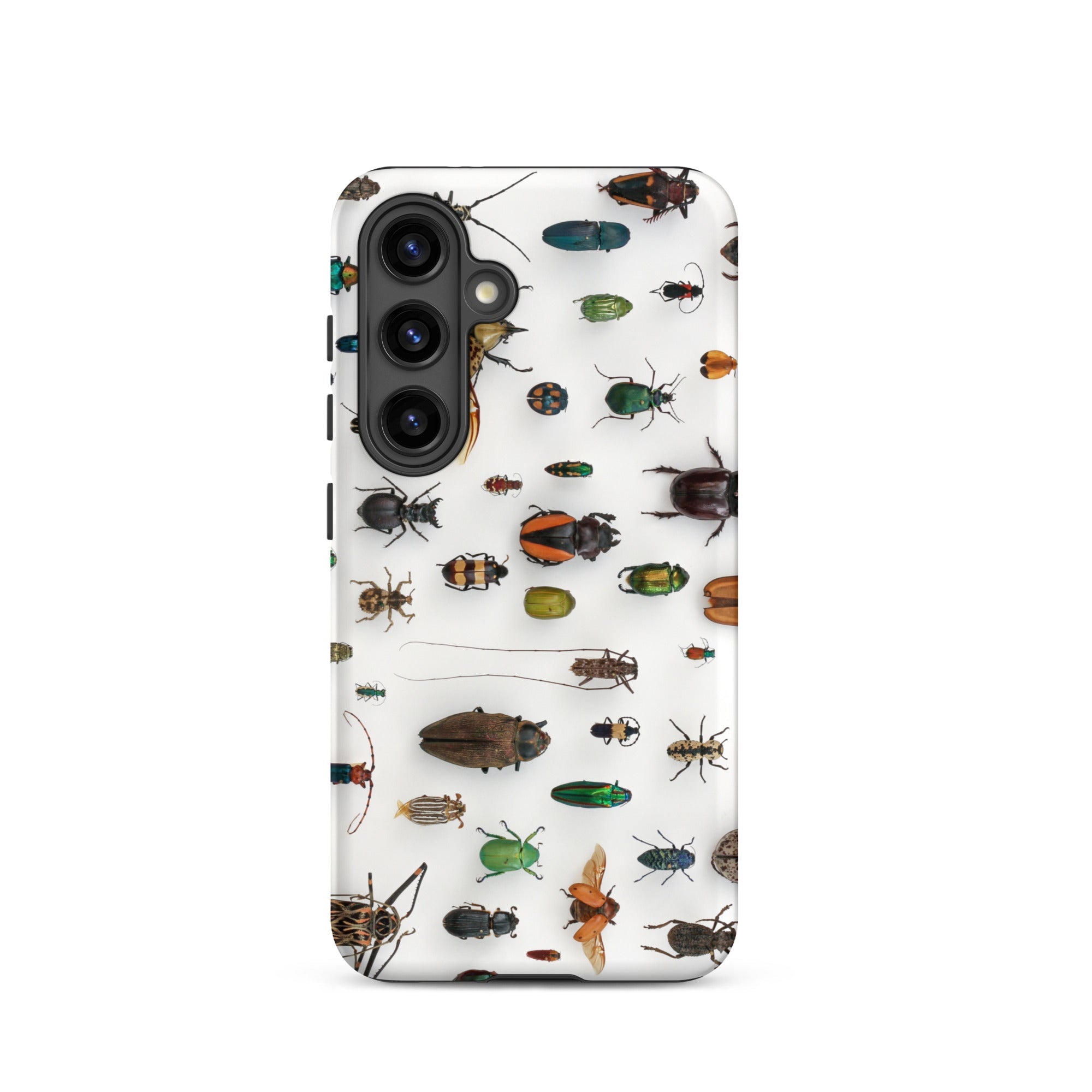 Assorted Coleoptera Beetle Taxonomy Samsung Case, Galaxy S24 / Matte, White Phone Case Collection Insect Species